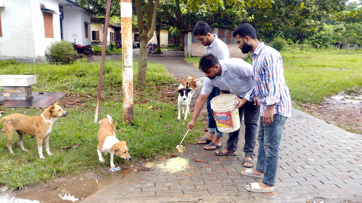 ছুটির মধ্যে ক্যাম্পাসের পশুপাখিদের পাশে রাবি ছাত্রদল