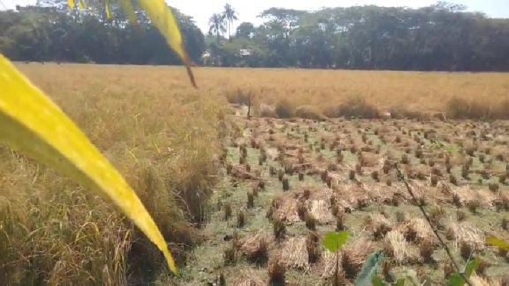 ভোলায় জমি দখল নিয়ে নারীকে প্রাণনাশের হুমকি, থানায় অভিযোগ