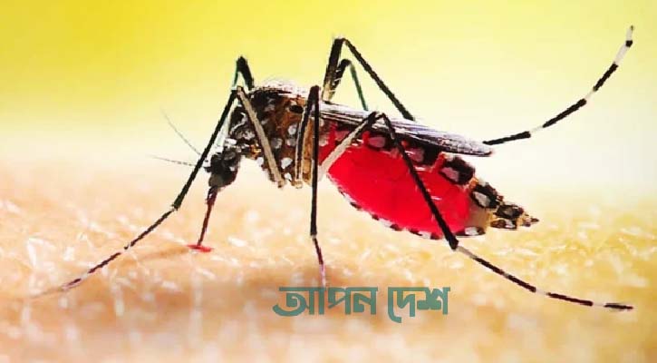ডেঙ্গুতে ২৪ ঘন্টায় ৬ জনের মৃত্যু