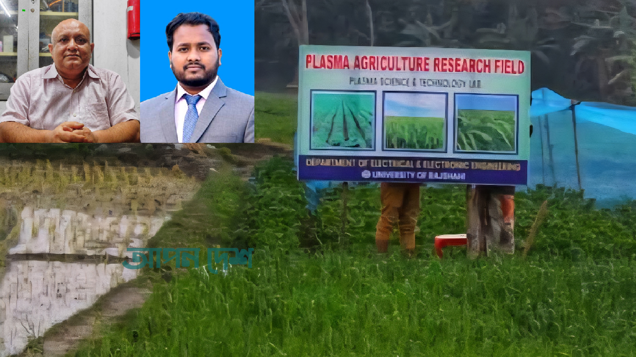 শস্যের মান, খাদ্যের পুষ্টিগুণ বাড়াতে সফল রাবির গবেষকেরা