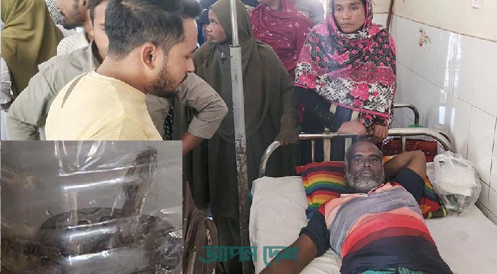 জীবিত রাসেলস ভাইপার সাপ নিয়ে হাসপাতালে হাজির কৃষক