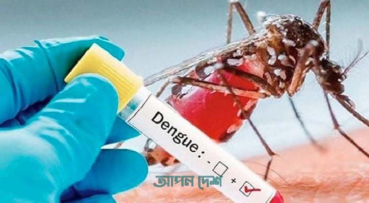 ডেঙ্গুতে আরও ৩ মৃত্যু, হাসপাতালে ৫৯৩ জন