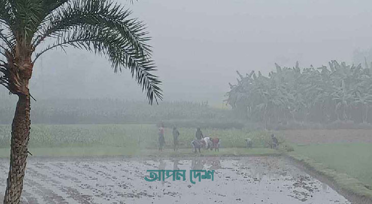 শীতের তীব্রতা বাড়ছে চুয়াডাঙ্গায়,তাপমাত্রা  ১৬ ডিগ্রি