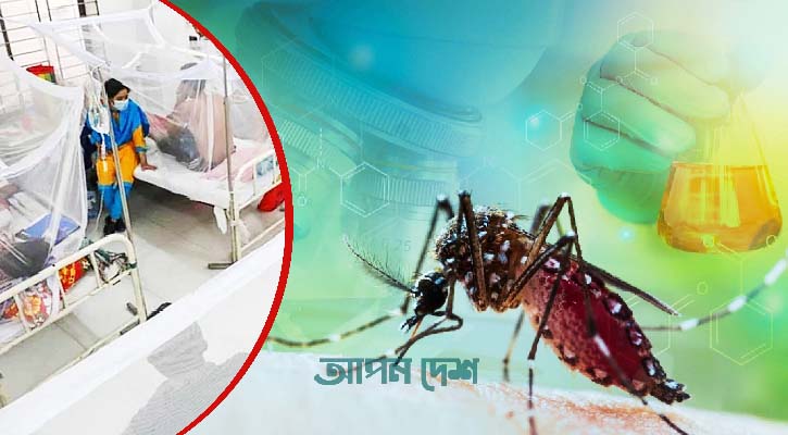 ডেঙ্গুতে ৮ জনের মৃত্যু, হাসপাতালে ভর্তি ৭৭৮