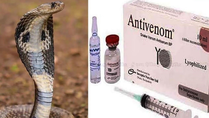 হাইকোর্টের নির্দেশে সারাদেশে অ্যান্টিভেনম পাঠাচ্ছে ডিজিডিএ