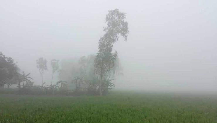 দিনাজপুরে তাপমাত্রা নামল ১১ ডিগ্রিতে