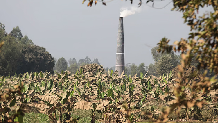 ইটভাটার প্রভাবে ফসলের ক্ষতি