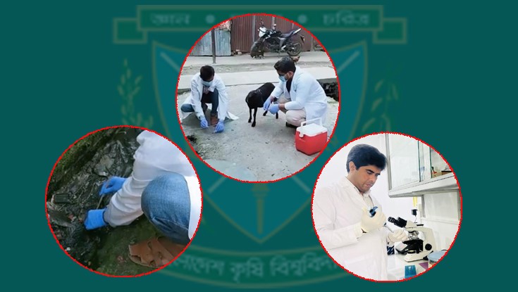 বস্তিতে মানুষ-প্রাণীর দেহে অন্ত্রপরজীবী সংক্রমণ বস্তিতে মানুষ-প্রাণীর দেহে অন্ত্রপরজীবী সংক্রমণ