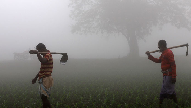 যে ৩ জেলায় বইছে মৃদু শৈত্যপ্রবাহ