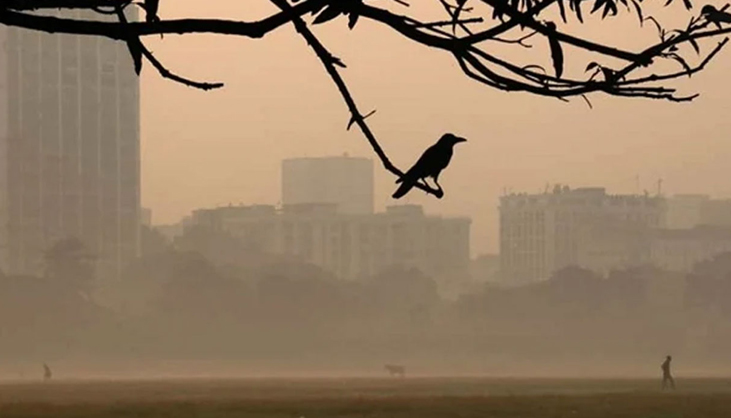 রাতের পূর্বাভাস জানাল আবহাওয়া অধিদফতর