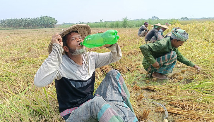 তীব্র তাপপ্রবাহে অস্থির জনজীবন, গলে যাচ্ছে রাস্তার পিচ