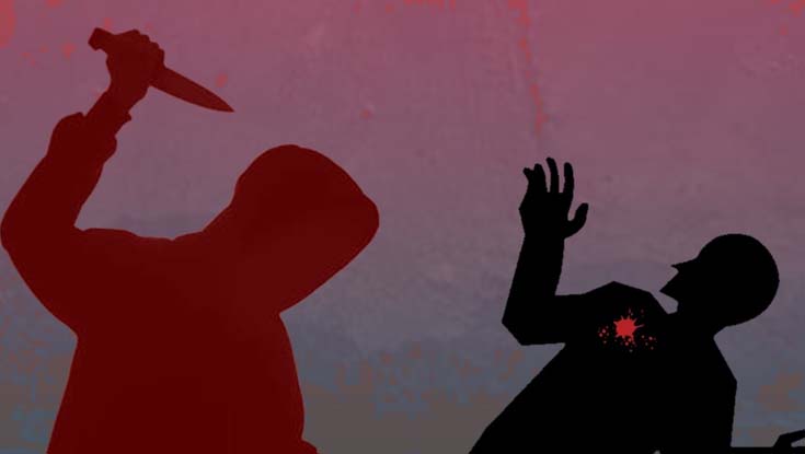 বোনকে উত্ত্যক্ত করার প্রতিবাদে ভাইকে হত্যা