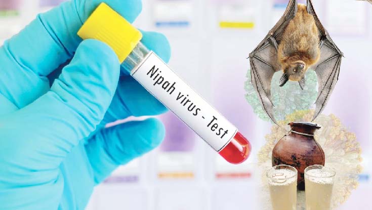 নওগাঁয় নিপাহ ভাইরাসে নারীর মৃত্যু