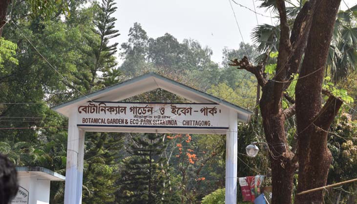 গলা কেটে শিশু হত্যার মূল আসামি গ্রেফতার