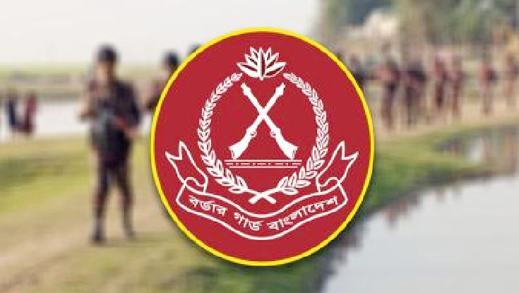 বীরত্বপূর্ণ কাজের স্বীকৃতি পাচ্ছেন বিজিবির ৭২ কর্মকর্তা-কর্মচারী