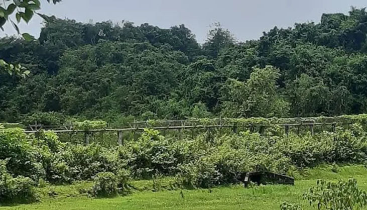 সীমান্তে মাইন বিস্ফোরণে উড়ে গেল যুবকের পা