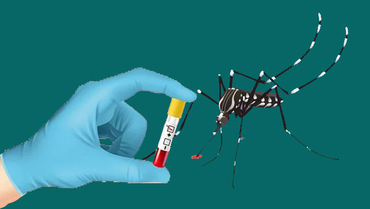 ডেঙ্গু প্রতিরোধে করনীয়