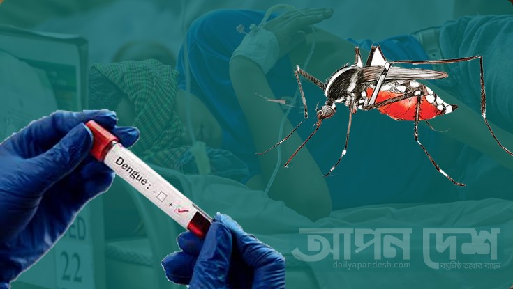 ডেঙ্গুরোগী ছাড়াল ৭০ হাজার ডেঙ্গুরোগী ছাড়াল ৭০ হাজার