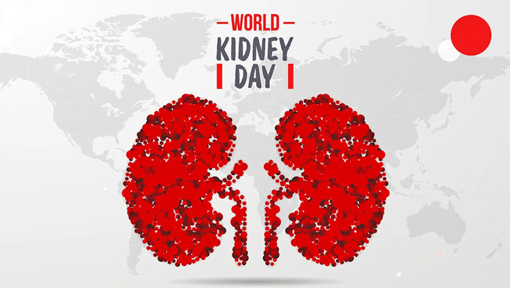 কিডনি রোগ প্রতিরোধে সচেতনতা জরুরি