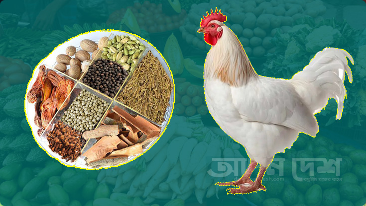 কাঁচাবাজারে কিছুটা স্বস্তি, মুরগির দাম বাড়তি