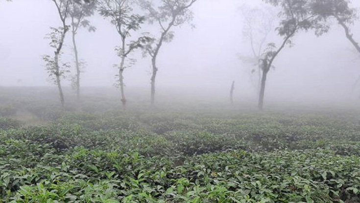 মৌলভীবাজারে সর্বনিম্ন তাপমাত্রা 