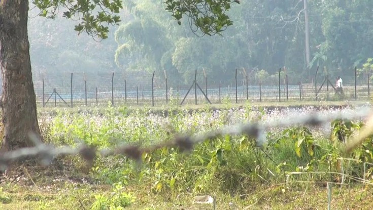 পাল্লাথল সীমান্তে আরও ৪৮ জনকে পুশইন বিএসএফের 