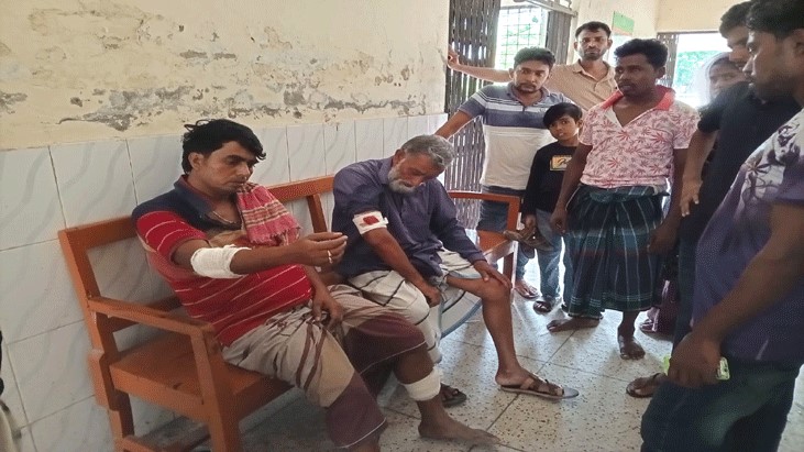 দুই গরু জবাই করে পিকনিক, ৮ কৃষককে পিটিয়ে আহত দুই গরু জবাই করে পিকনিক, ৮ কৃষককে পিটিয়ে আহত