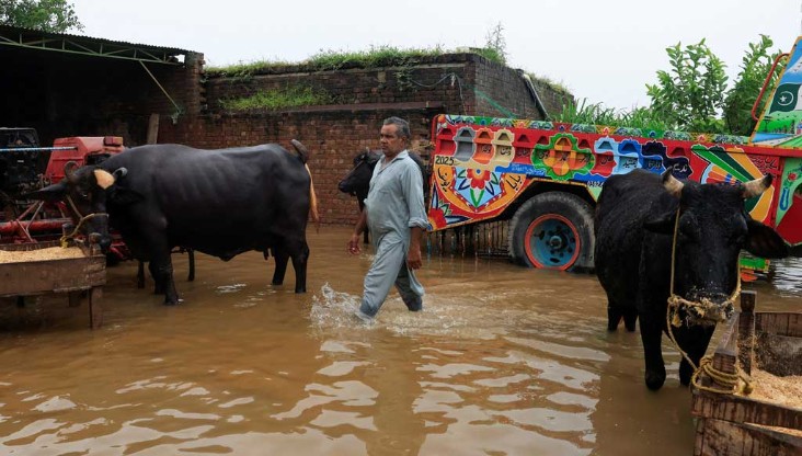 পান্জাবে ভয়াবহ বন্যা, মোকাবেলায় সেনা তলব পান্জাবে ভয়াবহ বন্যা, মোকাবেলায় সেনা তলব