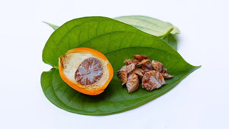 পান-সুপারিতে মুখের ক্যান্সারের ঝুঁকি