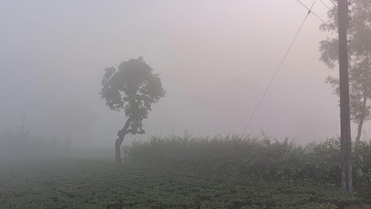 উত্তরে হাড় কাঁপছে হিমালয়ের বাতাসে