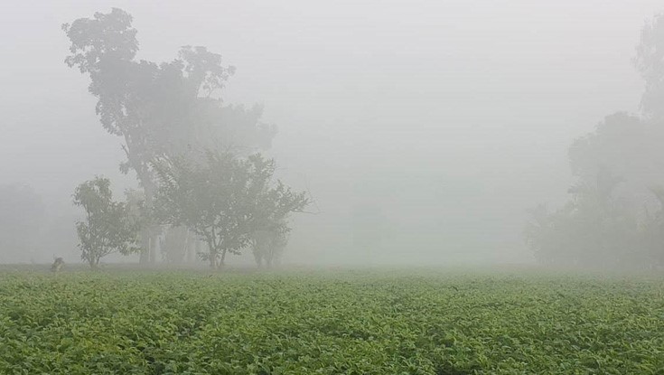 তীব্র শীতে কাঁপছে উত্তরের পঞ্চগড়