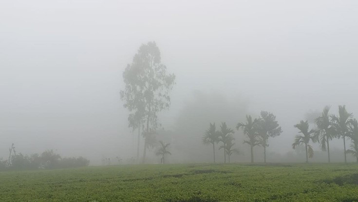 কুয়াশা-হিমেল হাওয়ায় নাকাল শ্রমজীবীরা