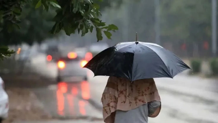 কুয়াশা-গুঁড়ি বৃষ্টি নিয়ে যে বার্তা দিল আবহাওয়া অফিস