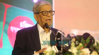 শুধু ভোটের দিন নয়, প্রতিদিন গণতন্ত্র রক্ষা করতে হয়: মির্জা ফখরুল