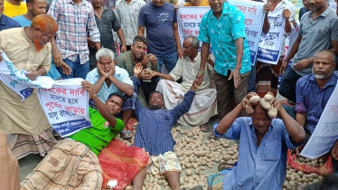 হিমাগার ভাড়া বাড়ার প্রতিবাদে মহাসড়কে আলু ফেলে কৃষকদের সড়ক অবরোধ