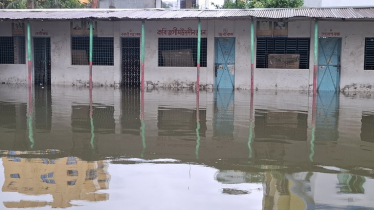 নোয়াখালীতে টানা বৃষ্টিতে জলাবদ্ধতা, ৪ উপজেলায় বিদ্যালয় বন্ধ