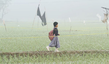 স্কুলে যাচ্ছে শিশু