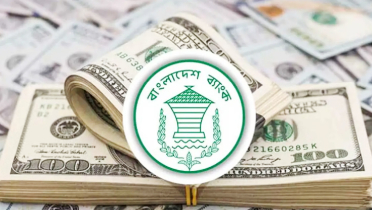 ফেব্রুয়ারির ১৪ দিনে রেমিট্যান্স এলো ১৩৫ কোটি ডলার ফেব্রুয়ারির ১৪ দিনে রেমিট্যান্স এলো ১৩৫ কোটি ডলার