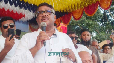 দেশ বিনির্মাণে ধানের শীষের বিকল্প নেই: দুলু