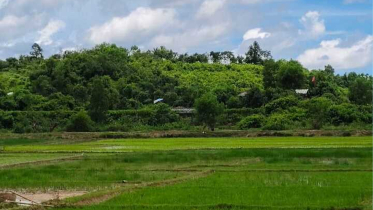 ঘুমধুম সীমান্ত এলাকায় অনবরত গুলির শব্দ, আতঙ্ক