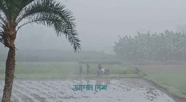 শীতের তীব্রতা বাড়ছে চুয়াডাঙ্গায়,তাপমাত্রা ১৬ ডিগ্রি শীতের তীব্রতা বাড়ছে চুয়াডাঙ্গায়,তাপমাত্রা ১৬ ডিগ্রি