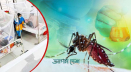 ডেঙ্গুতে ৮ জনের মৃত্যু, হাসপাতালে ভর্তি ৭৭৮