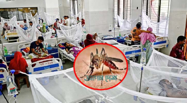 ডেঙ্গুতে আরও ৫ জনের মৃত্যু, হাসপাতালে ভর্তি ৭৯২