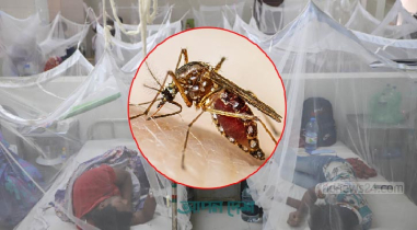 ডেঙ্গুতে একদিনে ৭ জনের মৃত্যু