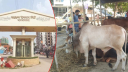 আফতাবনগরে পশুর হাট নয়: হাইকোর্ট