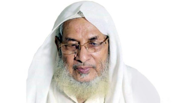 আল্লামা সুলতান যওক নদভী মারা গেছেন