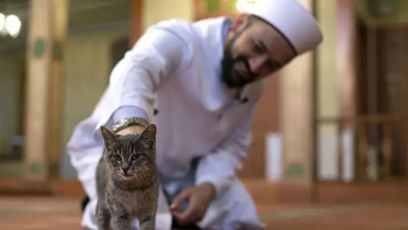 পশুপাখিকে কষ্ট দেয়া ইসলাম বিরোধী পশুপাখিকে কষ্ট দেয়া ইসলাম বিরোধী