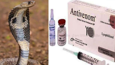 হাইকোর্টের নির্দেশে সারাদেশে অ্যান্টিভেনম পাঠাচ্ছে ডিজিডিএ