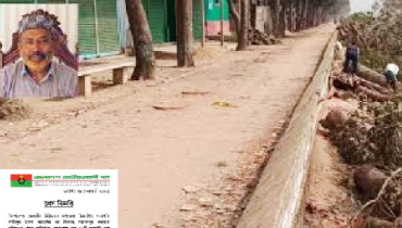 গাছ কেটে পদ হারালেন বিএনপি নেতা গাছ কেটে পদ হারালেন বিএনপি নেতা