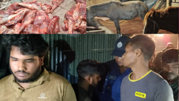 ঘোড়া জবাই করে গরুর মাংস হিসেবে বিক্রি, আটক ৪